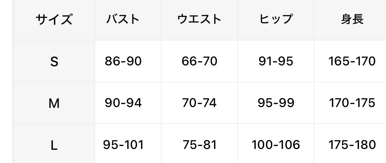 パワーフィットネスセット