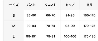 パワーフィットネスセット